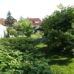 Budai Panzio 3*