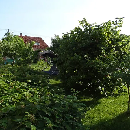 Budai Panzio Couette-café 3*