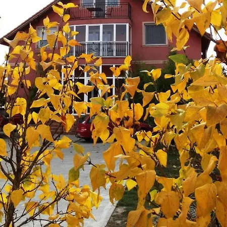 Budai Panzio Секешфехервар