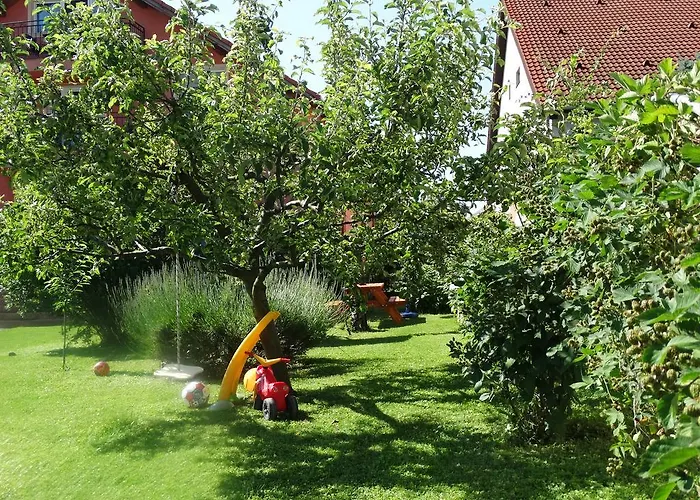 Oda ve Kahvaltı Budai Panzio