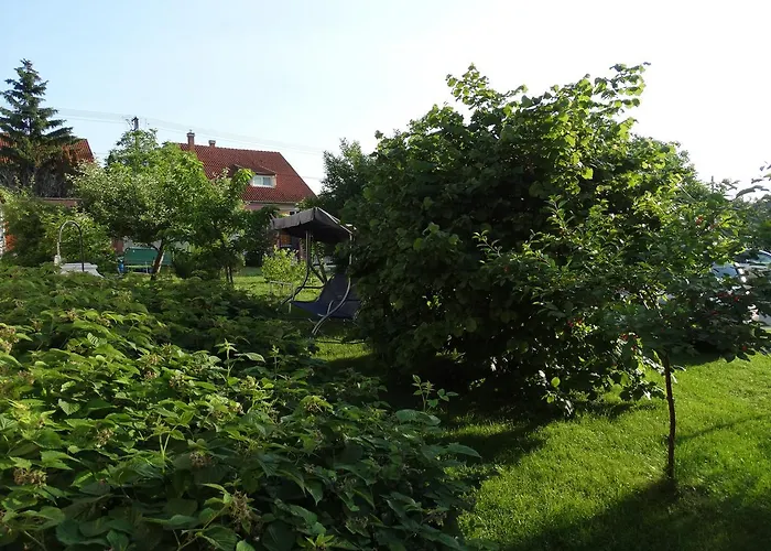 Budai Panzio Oda ve Kahvaltı 3*