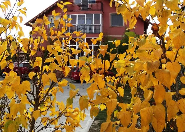 Budai Panzio İstolni Belgrad